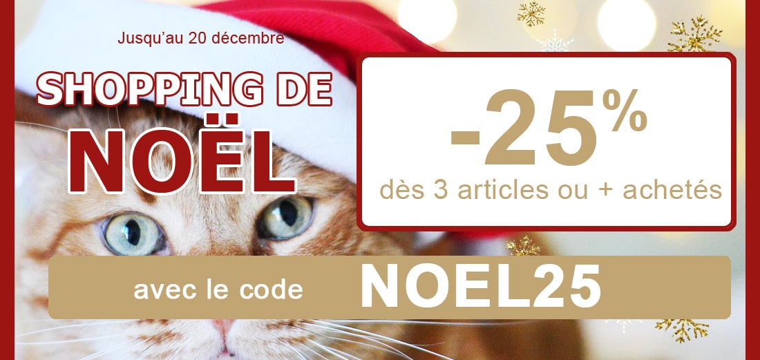 OFFRE DE NOËL