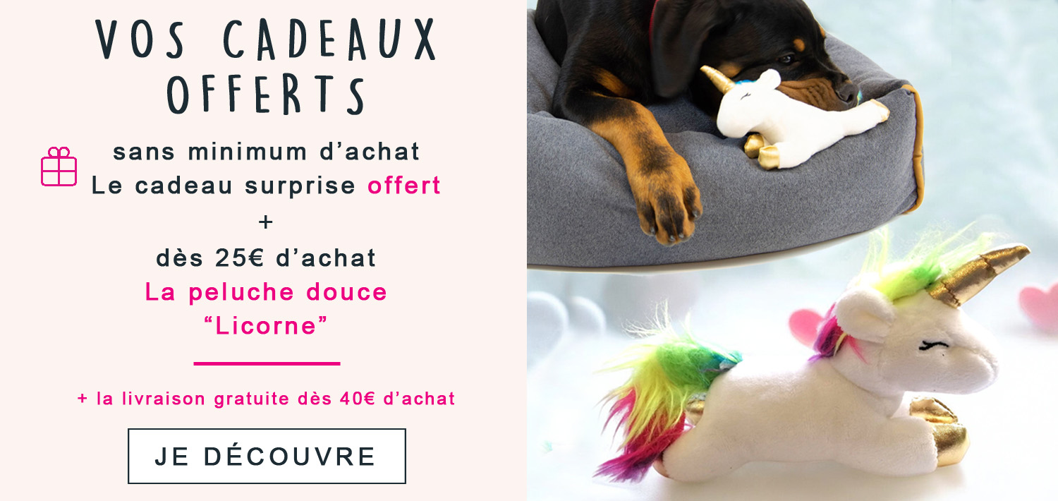 Votre cadeau