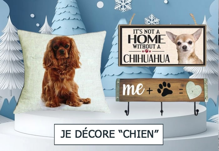 JE DÉCORE CHIEN