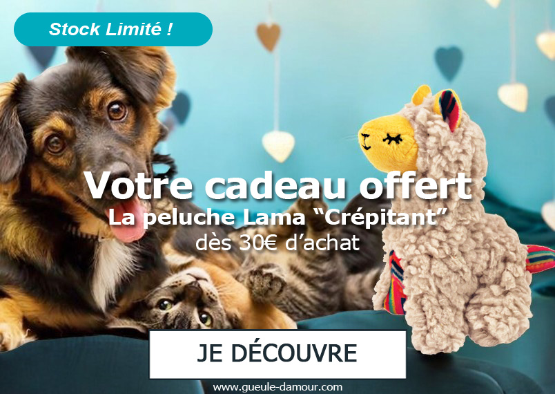 Votre cadeau